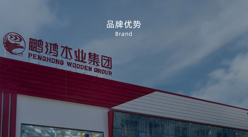 板材品牌、、、全屋定制品牌、、、生态板十大品牌