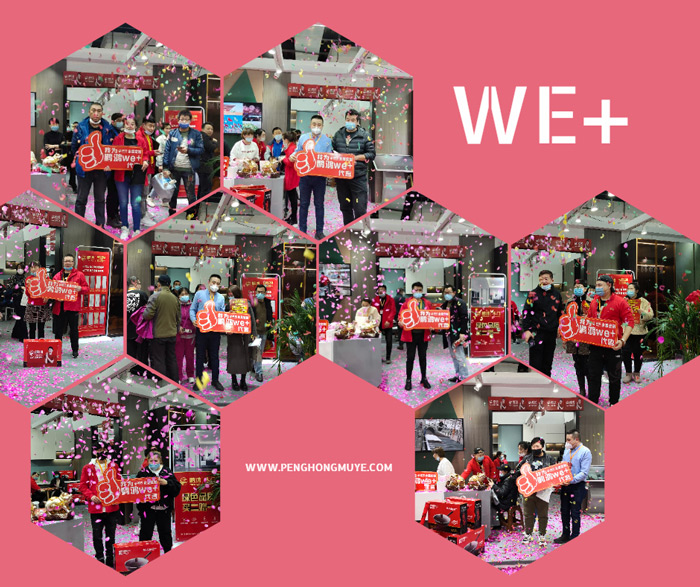 突破百单，金沙检测线路js95We+定制家居夺魁沈阳家博会