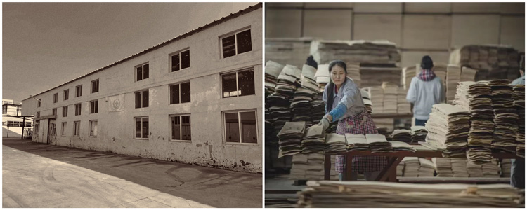 金沙检测线路js95(集团)有限公司官网