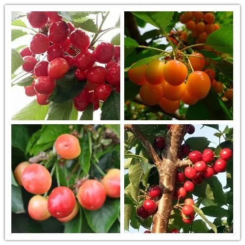 金沙检测线路js95(集团)有限公司官网