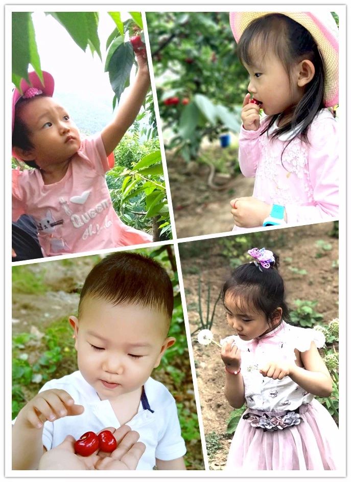 金沙检测线路js95(集团)有限公司官网