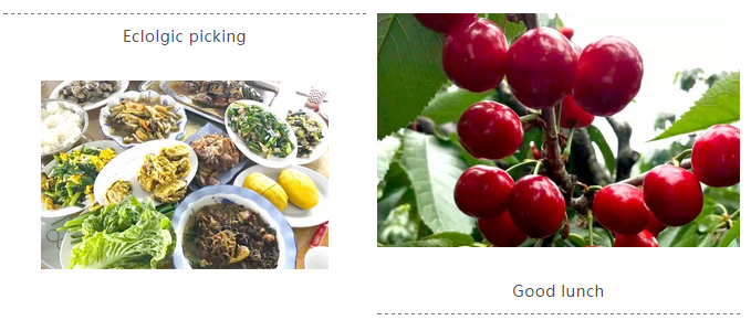 金沙检测线路js95(集团)有限公司官网