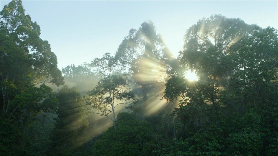 金沙检测线路js95(集团)有限公司官网