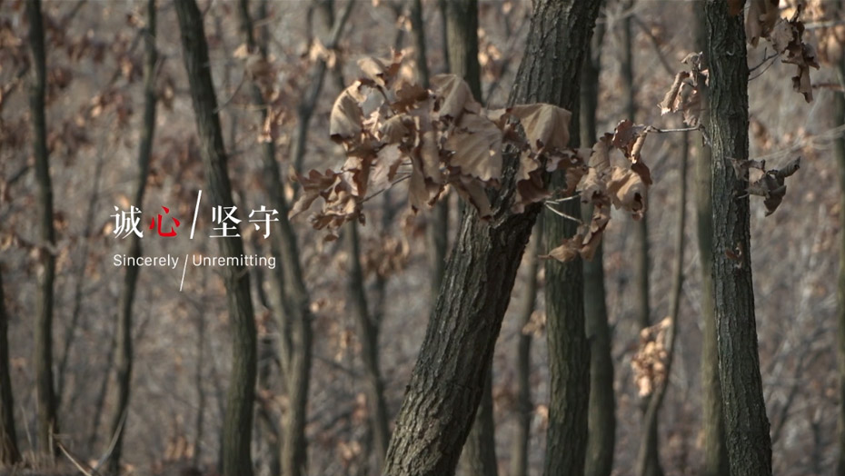 金沙检测线路js95(集团)有限公司官网