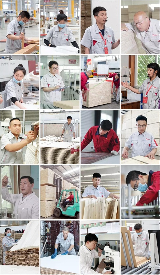 金沙检测线路js95板材